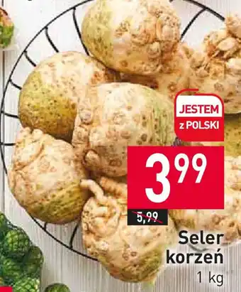 Stokrotka Seler korzeń 1 kg oferta