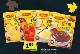 Groszek Budyń oferta