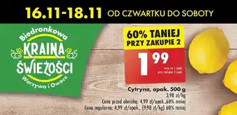 Biedronka Cytryna oferta