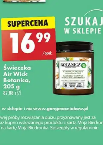 Biedronka Świeczka oferta