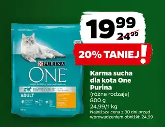 Netto Karma sucha dla kota one purina oferta