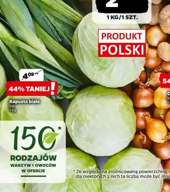 Netto Kapusta biała oferta