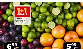 Netto Limonka oferta