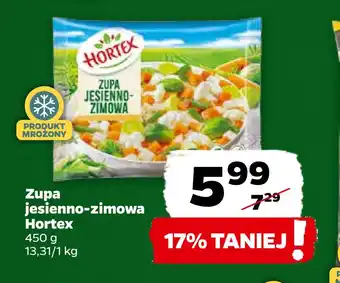 Netto Zupa jesienno-zimowa hortex oferta