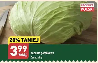 ALDI Kapusta gołąbkowa 1kg oferta