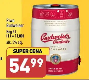 ALDI Piwo Estrella Damm Barcelona Keg 5l oferta