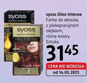 dm drogerie markt Farba do włosów oferta