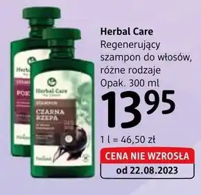 dm drogerie markt Szampon oferta