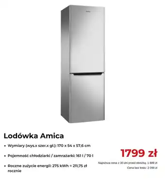 RTV EURO AGD Lodówka Amica oferta