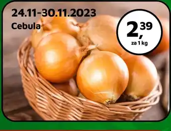 Odido Cebula 1 kg oferta