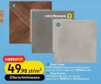 Castorama Gres Tryton Gres Costole wym.: 60 x 60cm 1m² oferta