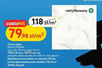Castorama Gres Logan wym. 60 x 60 cm, opak. 1,44 m² oferta
