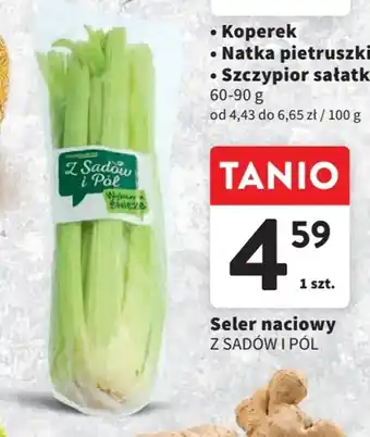 Intermarche Seler naciowy Z SADÓW I PÓL 1 szt. oferta