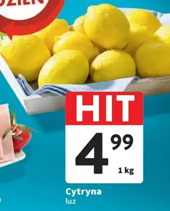 Intermarche Cytryna luz 1 kg oferta