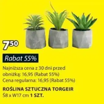 JYSK ROŚLINA SZTUCZNA TORGEIR oferta