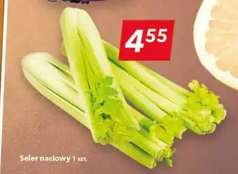 Lewiatan Seler naciowy 1 szt. oferta