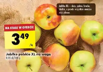 Biedronka Jabłko polskie XL 1kg oferta