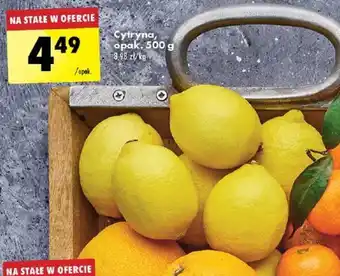 Biedronka Cytryna 500 g oferta