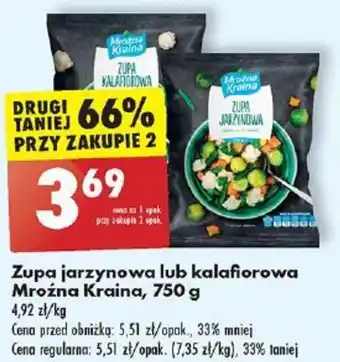 Biedronka Zupa jarzynowa lub kalafiorowa Mroźna Kraina 750 g oferta