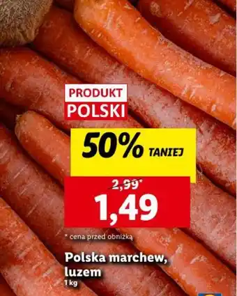Lidl Polska marchew, luzem 1 kg oferta
