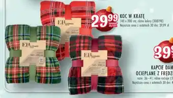 Stokrotka KOC W KRATĘ oferta