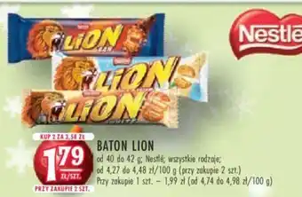 Stokrotka BATON LION oferta