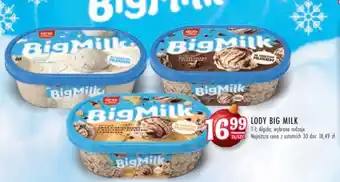 Stokrotka LODY BIG MILK oferta