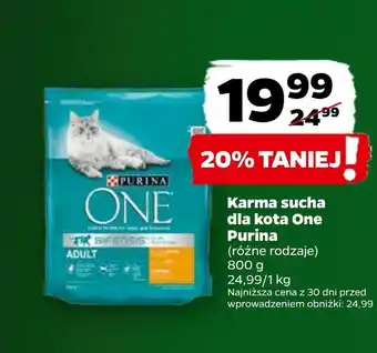 Netto Karma dla kota oferta