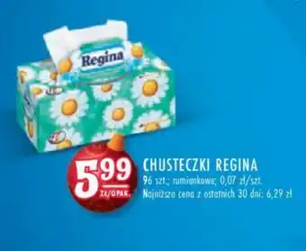 Stokrotka CHUSTECZKI REGINA oferta