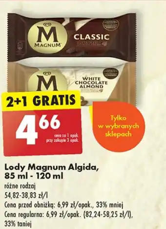 Biedronka Lody oferta