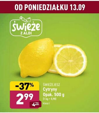 ALDI Cytryny oferta