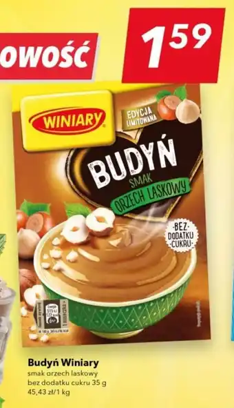 Lewiatan Budyń Winiary 35 g oferta