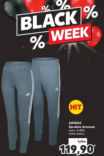 Kaufland Spodnie dresowe oferta