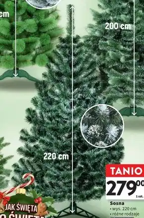 Intermarche Choinka oferta