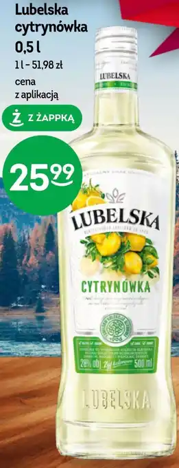 Żabka Cytrynówka oferta
