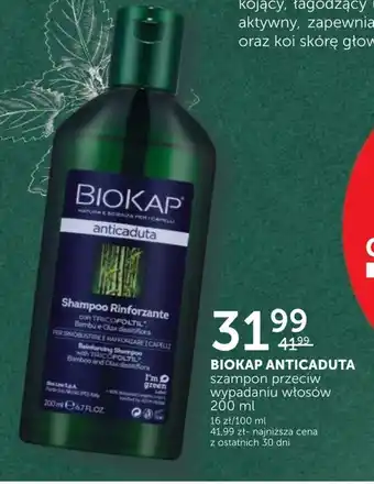 Ziko Dermo Szampon oferta