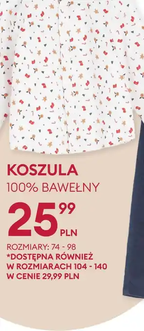 Sinsay Koszula oferta