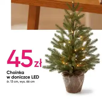 Pepco Choinka w doniczce oferta