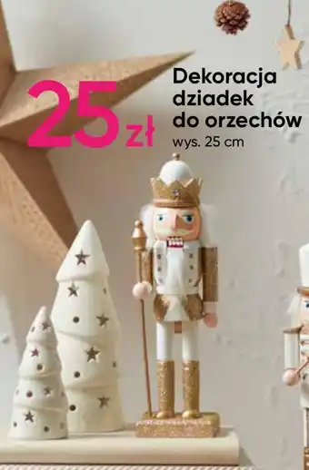 Pepco Dziadek do orzechów oferta