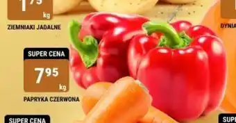 bi1 PAPRYKA CZERWONA 1kg oferta