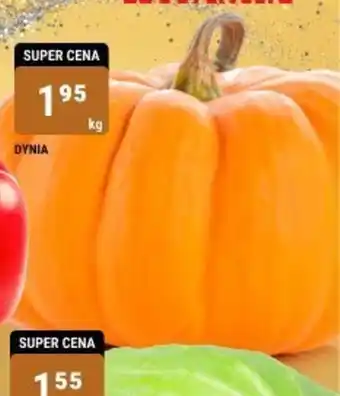 bi1 DYNIA 1kg oferta