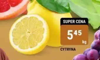 bi1 CYTRYNA 1kg oferta
