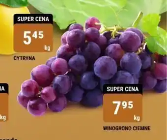 bi1 WINOGRONO CIEMNE 1kg oferta