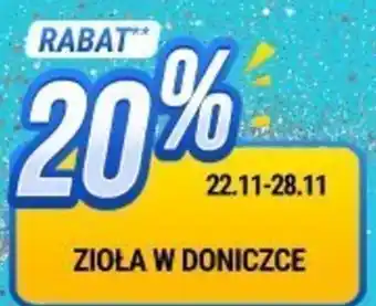 bi1 ZIOŁA W DONICZCE oferta