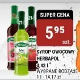 bi1 SYROP OWOCOWY HERBAPOL 0,42l oferta