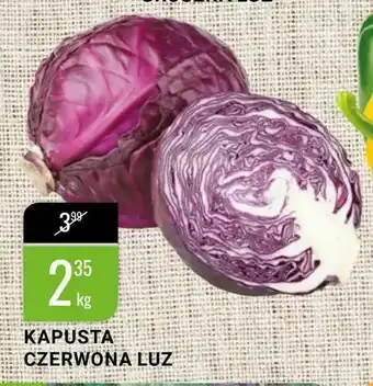 bi1 Kapusta czerwona luz oferta