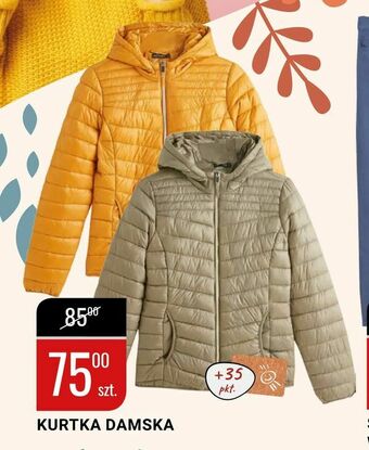 bi1 Kurtka damska oferta
