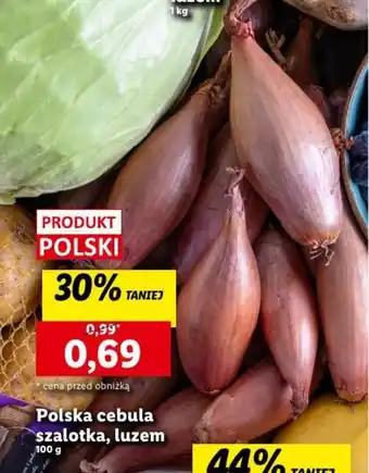 Lidl Polska cebula szalotka, luzem 100g oferta