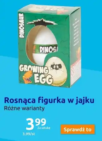 Action Rosnąca figurka w jajku oferta