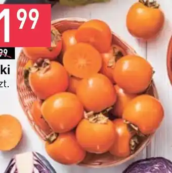 Stokrotka Kaki oferta